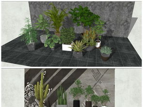 精品绿色植物绿色盆景室内绿色盆栽组合SU模型设计素材 植物景观模型大全 18625609